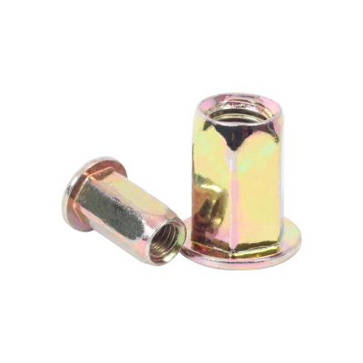 China Connection Carbon steel yellow zinc plated flat hex head rivet nut for sale