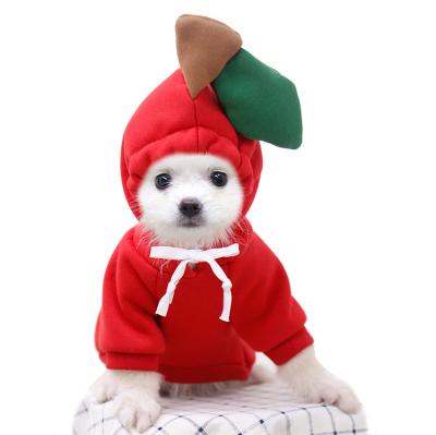 China Viable Puppy Clothes Sweater Dog Frog Dress Biped Cute Cat Pet Clothing for sale