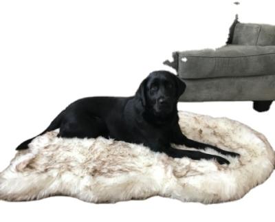 China Viable Memory Foam Faux Fur Orthopedic Dog Bed, Thick Faux Fur Dog Bed Mat for sale