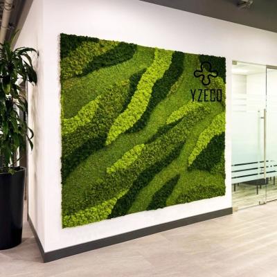 China 100% Natural Real Moss 3D Wall Art for Office Decoration Customized and Ready Made for sale