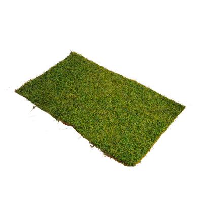 China Artificial Moss Panels Customized Logo Accepted Green Plant Art Decoration for Wall Window for sale