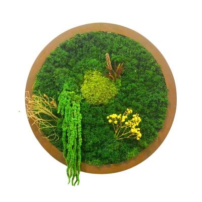 China Long Lasting Moss Green Wall Art Preserved Plant Frame DIY Design for Home and Decor for sale