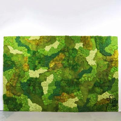 China Green Artificial Plant Wall Decor Panel Moss Wall For Living Room Acceptable OEM ODM for sale