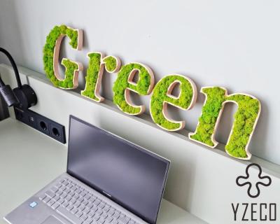 China Company Custom Moss Wall Sign with 3D Letters and Reindeer Moss Life Time 8 Years for sale