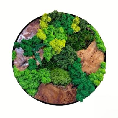 China Handmade Circle Moss Frame in Non-Fading Non-Toxic Customized Colors for Company for sale