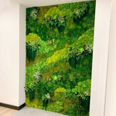 China Conservado 100% Natural Real Moss Frame de Arte de Parede Personalizado para necessidades de decoração de hotel à venda