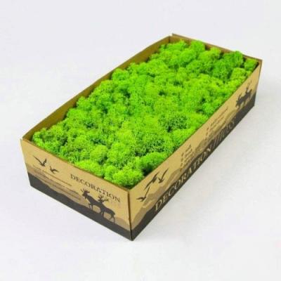 Cina 500G Green Fire Retardant Artificial Reindeer Moss Ideale per il giorno di San Valentino in vendita