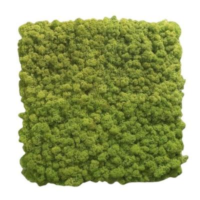 China Mother's Day Occasion Preserved Moss Wall Panel with OEM Service Accepted for sale