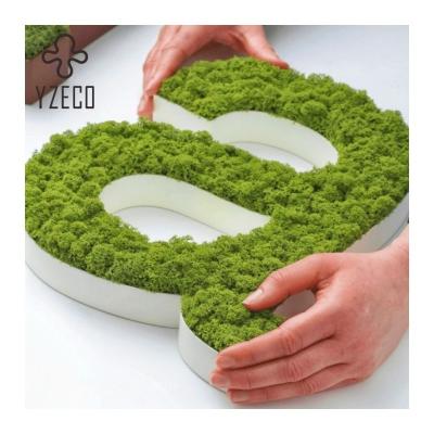 China Customized Luminous Effects 3D Moss Letters Wall Sign for Indoor Decoration Customized for sale