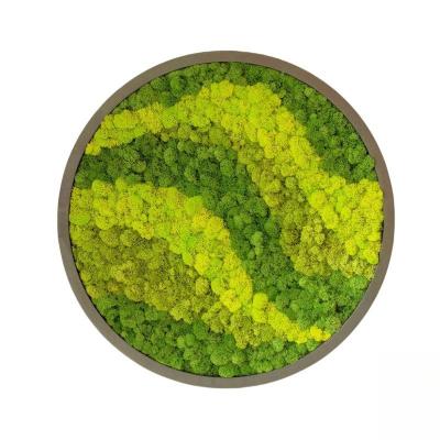 China Natural 3D Preserved Moss Wall Decoration Round Frame Art Panels With Customized Logo for sale