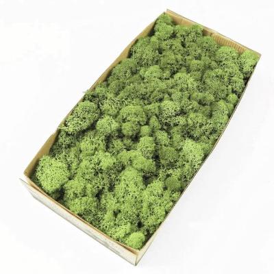 China 38*20*10cm Preserved Reindeer Moss Colored Art Decoration for Company Wall Decoration for sale