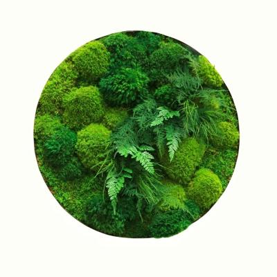 China Customized Colors Preserved Moss Wall Panel A Beautiful Home and Office Addition for sale