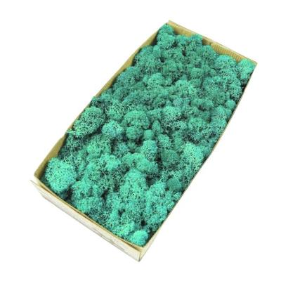 China Reindeer Moss 500G in meerdere kleuren voor milieuvriendelijke en natuurlijke mosdecoratie Te koop