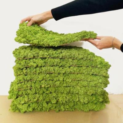 Cina Stabile Arte Naturale Panelli di muschio verde Ideale per la decorazione di nozze 30*30cm 5 anni Tempo di vita in vendita