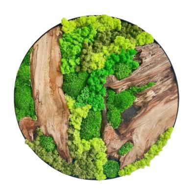 China Different Sizes Beautiful Moss Wall Art Customized Colors Moss Frame Decorative For Home for sale