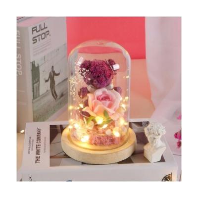 China Long Life Pink Eternal Roses Flower Glass Domes Moss Bear For Mother's Day Gift Sample for sale