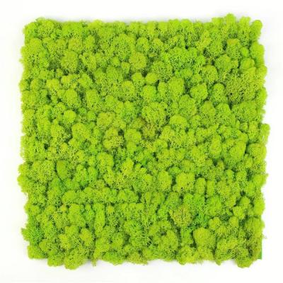 China OEM ODM Accepted Assurance Artificial Moss Panel Plants Wall For Outdoor Indoor Decor for sale