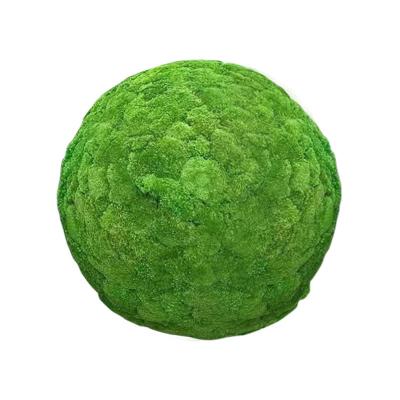 China Logo Customized Logo Accepted Green Immortal Preserved Stabilized Ball Moss Art Frame for sale