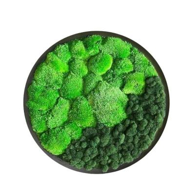 China Earth Day Occasion Multi-Color Moss Wall Decor for Office Natural Plant Painting for sale