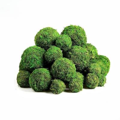 China Life Time 3-5 Years DIY Craft Kit Preserved Moss Ball For Garden Wall Wedding Decor for sale