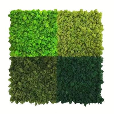 China Colorful Stabilized Moss Panel Environmental Friendly Choice for Thanksgiving Occasion for sale