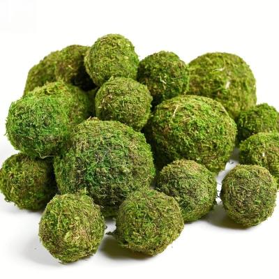 China Natural Green Decorative Plants Moss And Foam Ball for Indoor Showcase Arrangement for sale