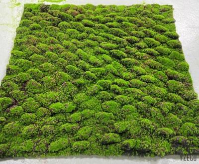 China Odorless Soft Moss Grass Fabric Wall Covering for Outdoor Decoration for sale