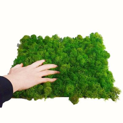 China Environmental Friendly Customized Logo Accepted Moss Wall Art for Mall Decoration for sale