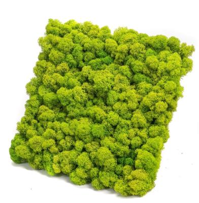 China OEM ODM Aceitável Verde Simulado Moss Parede Artificial Moss Folha de Moss Painel Para Decoração à venda