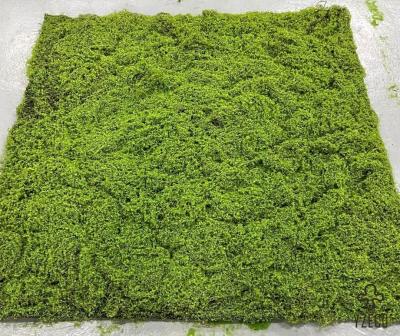 China Artifical Green Moss Grass Wall Environmentally Friendly And Non Toxic for sale