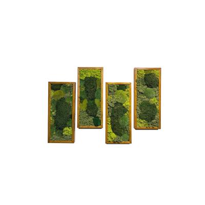 China Customized Logo Accepted Halloween Home Decoration Preserved Moss Wall Art Frame Boxed for sale