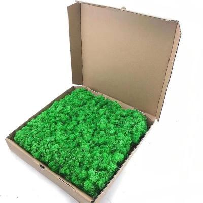 China Please Refer to Our Color Chart Environmental Friendly 30*30cm Preserved Moss Sheets for sale