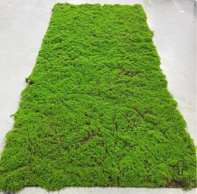 China Silk Floss Green Fakes Moss Lawn Turf 1M*1M Size for Home Landscaping Decoration for sale