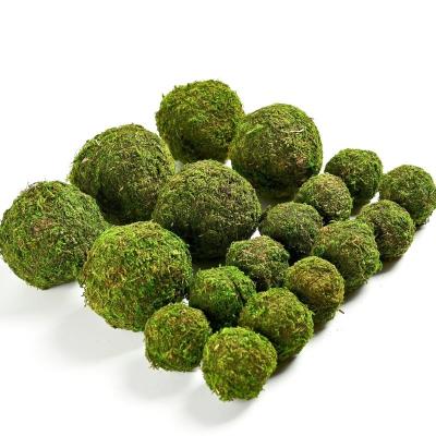 China Simulated Moss Plant Hanging Landscape Decoration for Wedding Life Time 3-5 Years for sale