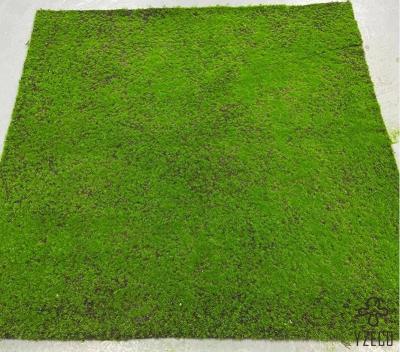 China Sample Green Simulated Moss Wall for Artificial Moss Sheet Plant Type Moss for sale