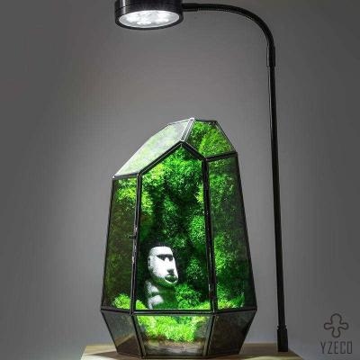 China OEM ODM Acceptable Botanical Sculpture Collection Preserved Moss Terrarium for Wedding for sale