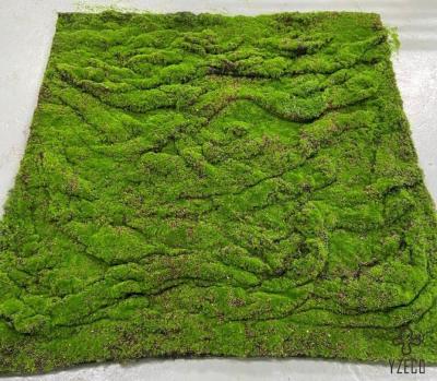 China Home Tuin Vergroening Decoratie 1M*1M Simulatie Gras Lichen Gras Barken met mos Te koop