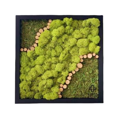 China Customized Lush Preserved Moss And Plant Wall Art A Unique Addition To Indoor Decor for sale