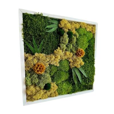 China Real Plants 30*30cm Square Preserved Moss Panels Frame Unique Home Decoration for sale