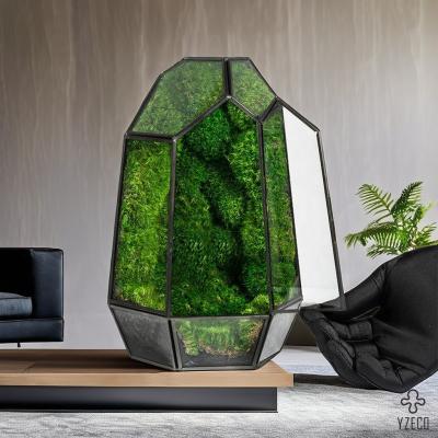 China Customized Logo Accepted Clear Irregular Moss Micro-Landscape for Desktop Decoration for sale