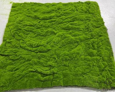 China Grote grootte UV-bestendige Moos Grass Wall Mat Moos tapijt Cotton Base Levensduur 5 jaar Te koop