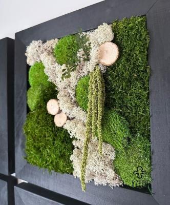 China Easter Occasion Modern Green Preserved Moss Reindeer Moss Wall Art for Wall Decoration for sale