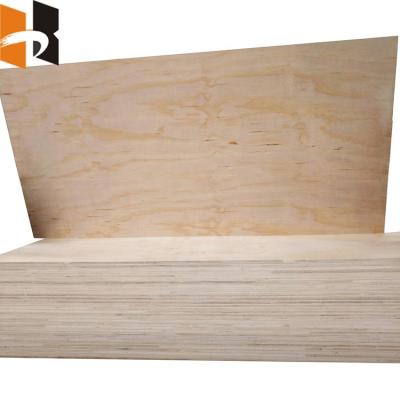 China Concrete construction 12mm radiata pine almirah design plywood for concrete formwork for sale