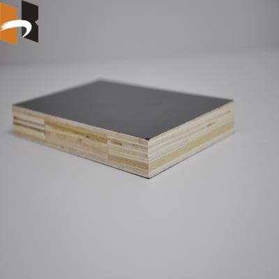 China Cheap price recycled real estate construction /formwork board film faced plywood with gold color crystal logo for sale