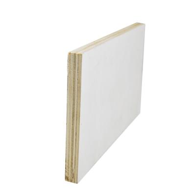 China 15mm Modern White Birch Faced Veneer Commercial Plywood Manufactured Panel EV for sale