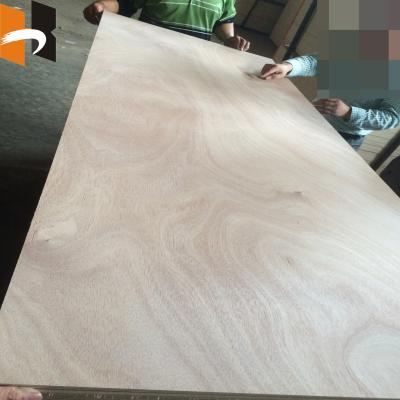 China Modern 3mm Thick Natural Wood Veneer Melamine Molded Laminated Door Skin for sale