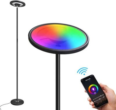 China Modern Metal Stunning Minimalist Ambient Floor Lamp With Remote Control For Living Room, Bedroom for sale