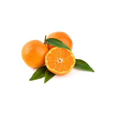 China Normal orange puree for sale