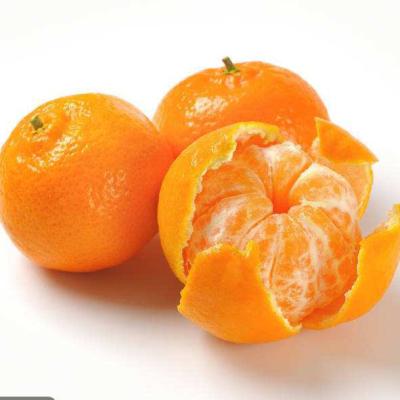 China Tangerine normal bag for sale