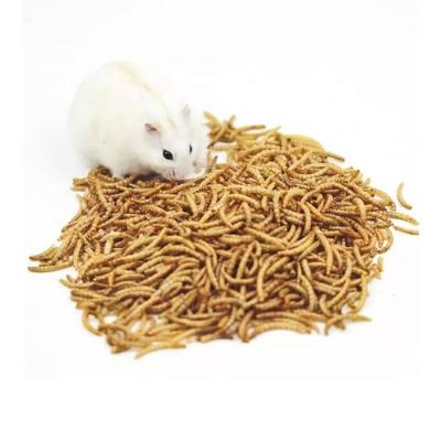 China Best Viable Price of Export-Grade High Protein Bird Forage Dried Mealworms Premium Bird Food for sale